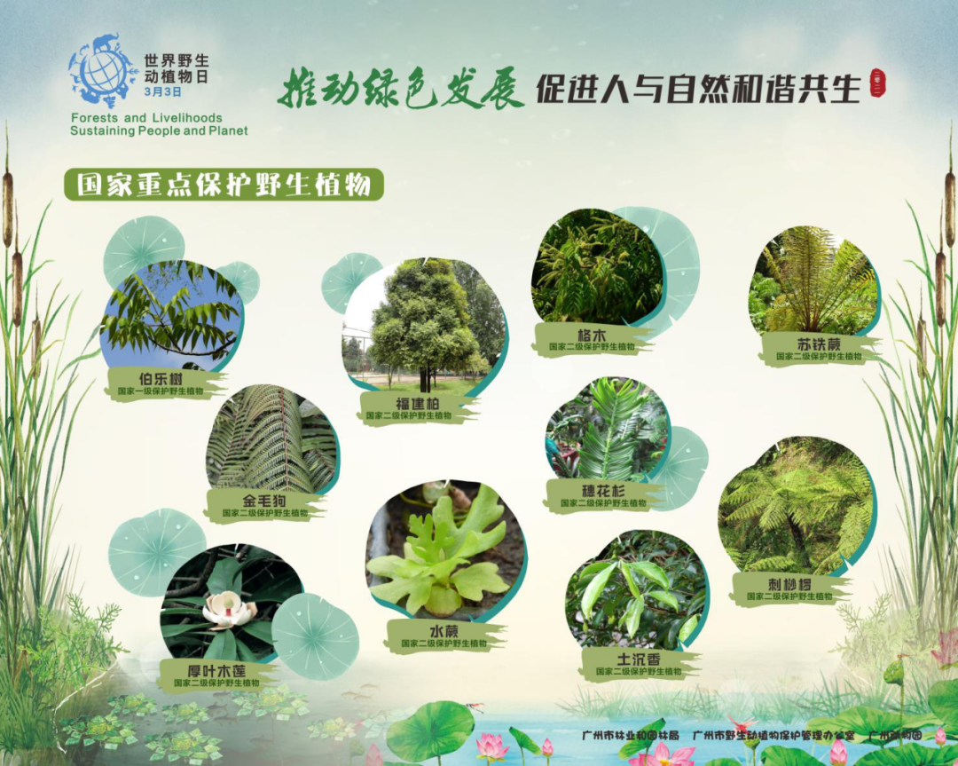 ＂0149開(kāi)獎(jiǎng)澳門網(wǎng)＂的：植物保護(hù)_見(jiàn)證版3.37