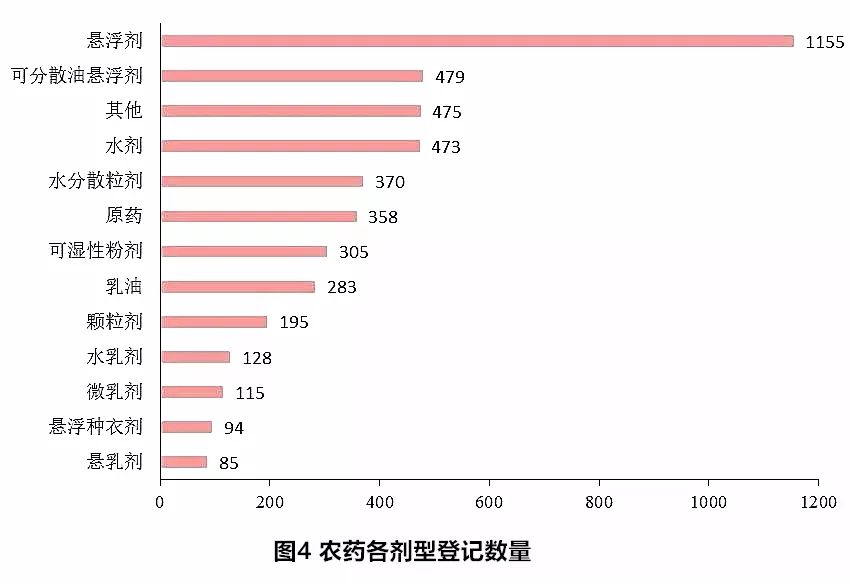 三七未來行情，自然美景中的旅行探索之旅