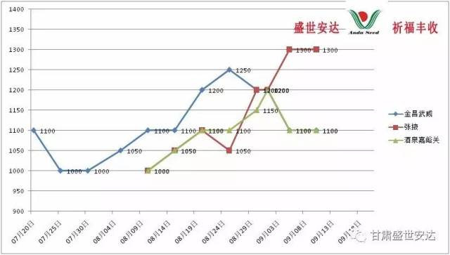 探尋小巷中的味覺寶藏，預(yù)測洋蔥2017年價格行情