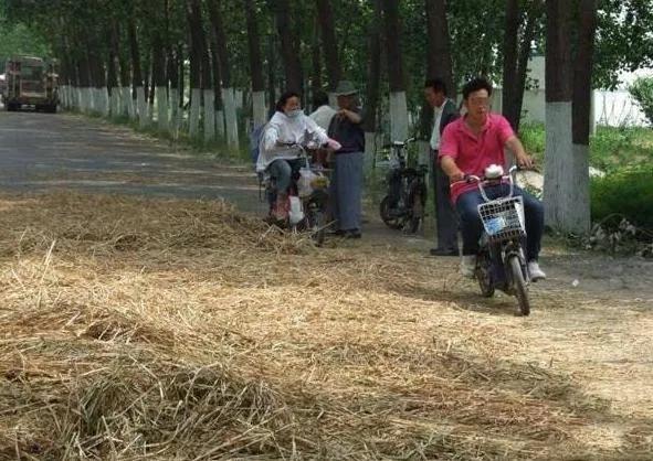震驚！回顧沂水交通事故，警鐘長鳴！