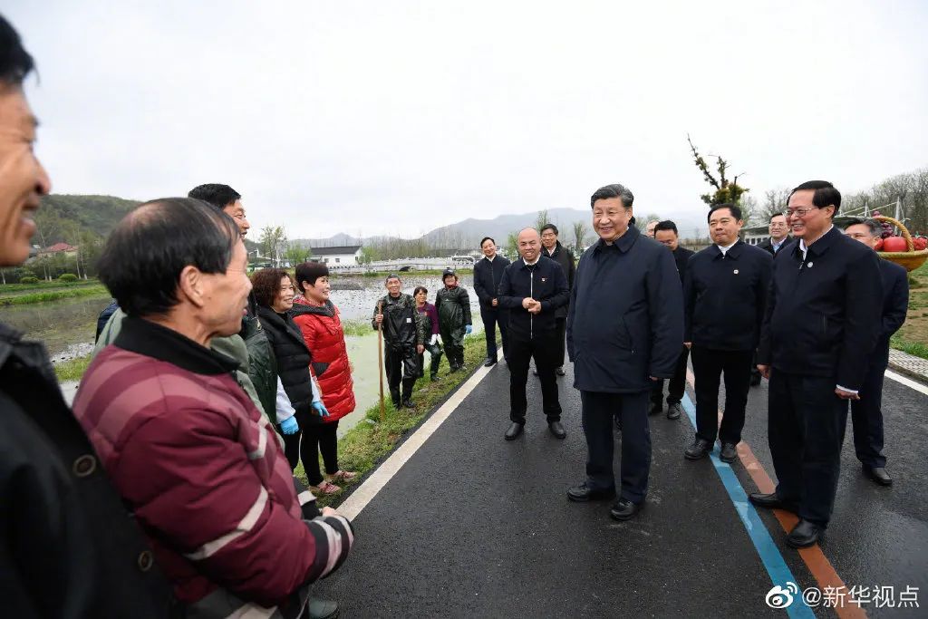 至2025年，馬中林最新動態(tài)與未來發(fā)展趨勢解析