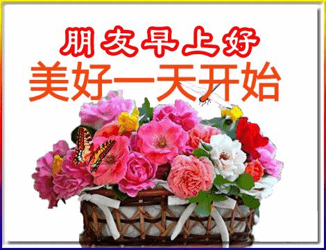 五福碰胡最新版下載，變化、學(xué)習(xí)與自信的力量之源