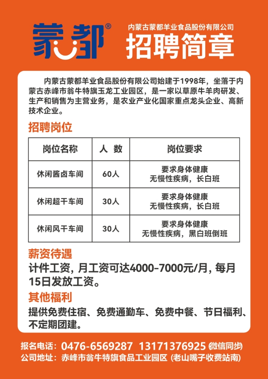 萊蕪金點子最新招聘信息港，科技驅(qū)動職業(yè)夢想，崗位觸手可及