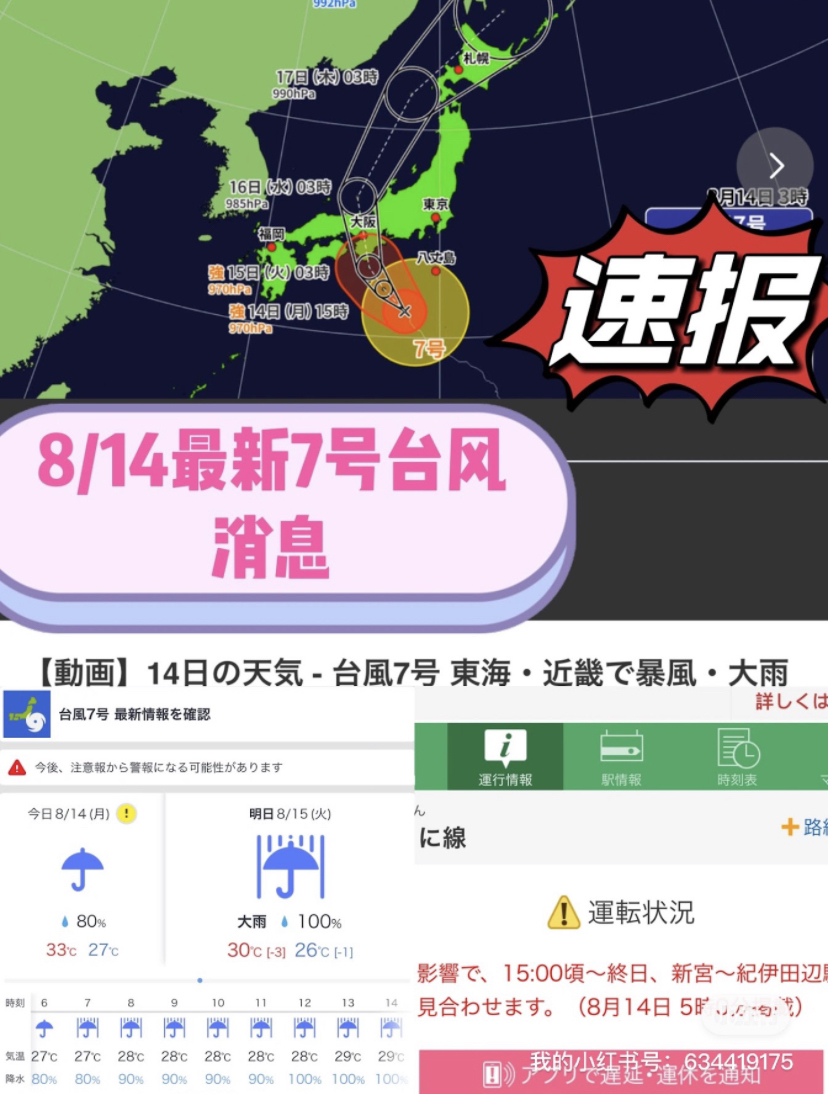 臺風來襲，知識海洋并肩作戰(zhàn)，最新關于臺風12號的消息報告