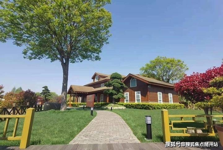 變化中的學(xué)習(xí)之旅，中澤純境最新消息與自信成就之源