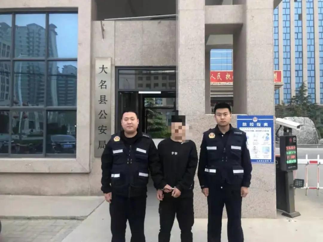 大名出租房屋最新動(dòng)態(tài)，全面指南與最新消息