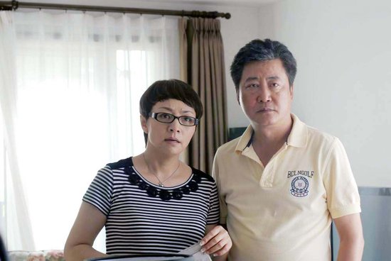 趙寶剛最新電視劇深度解析與探討，新劇探討與探討