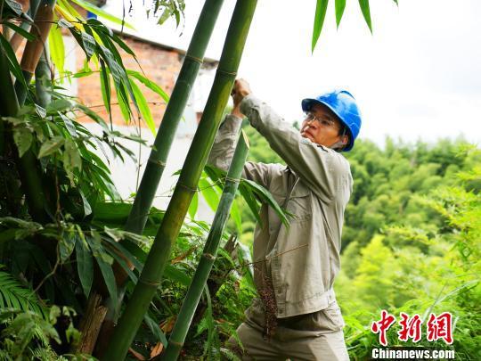 寧德臺風(fēng)最新動態(tài)，科技智能守護安全前沿
