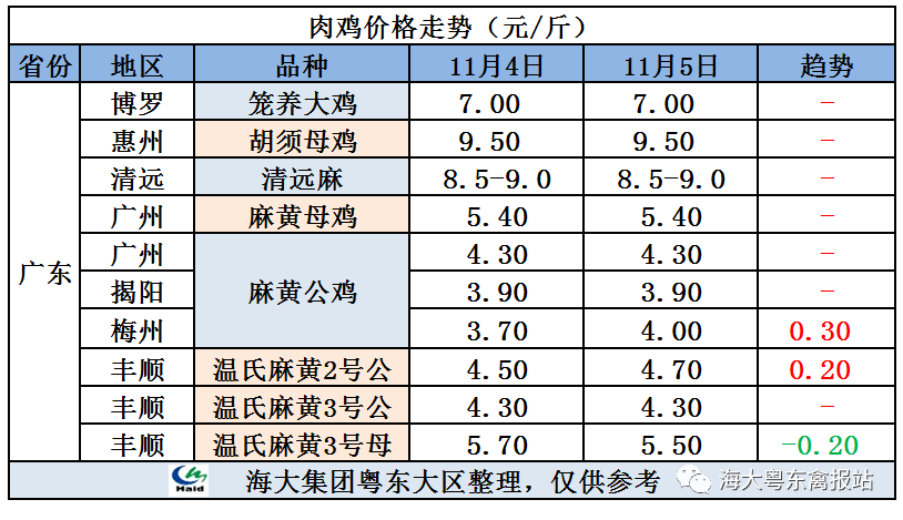 廣東雞價最新行情，心靈與自然的旅行交響曲