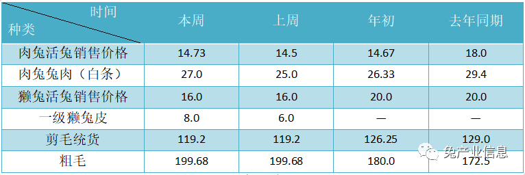 獺兔價(jià)格最新行情揭秘，溫情故事在兔子洞展開(kāi)