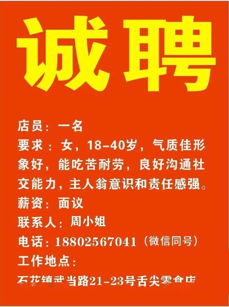 金正陽(yáng)最新招聘信息發(fā)布，職位空缺及申請(qǐng)指南