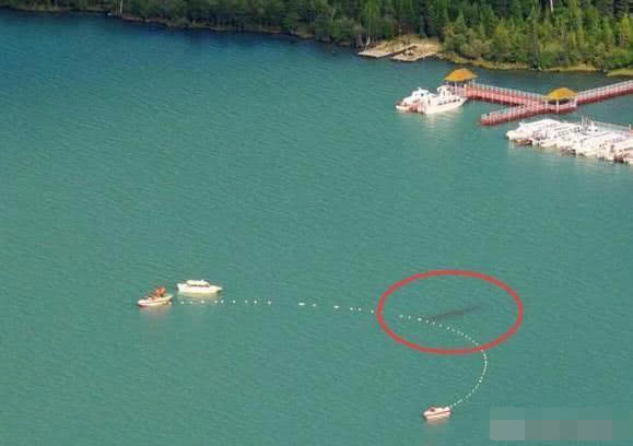 喀納斯湖水怪真相揭秘，探尋神秘之旅的心靈平靜之路